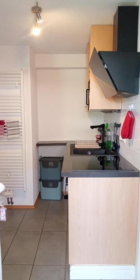 Ferienwohnung In Grenzach المظهر الخارجي الصورة